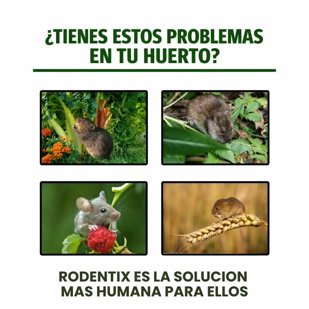 Rodentix®  Repelente de ratones 20pcs